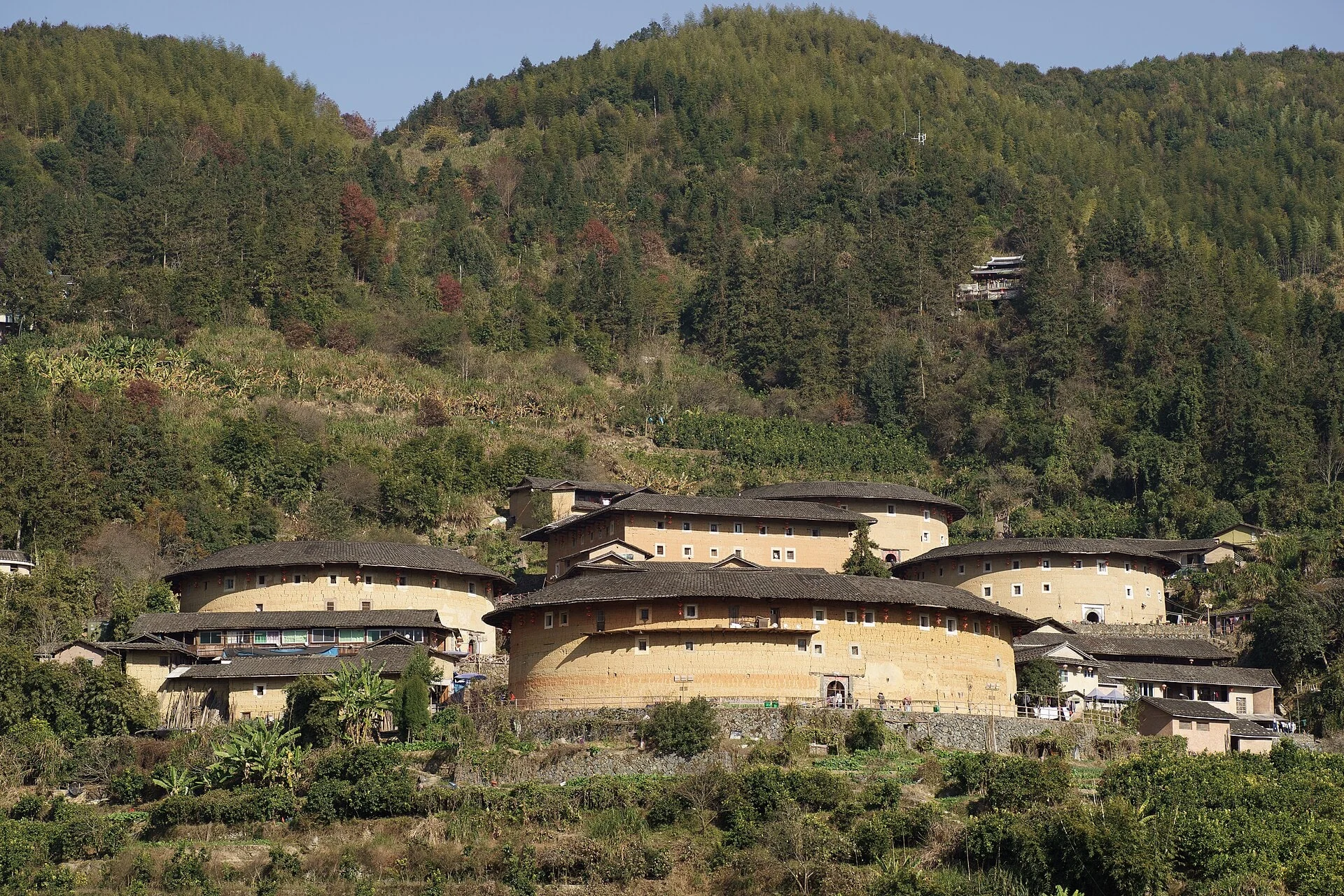 南靖田螺坑土楼群实景
